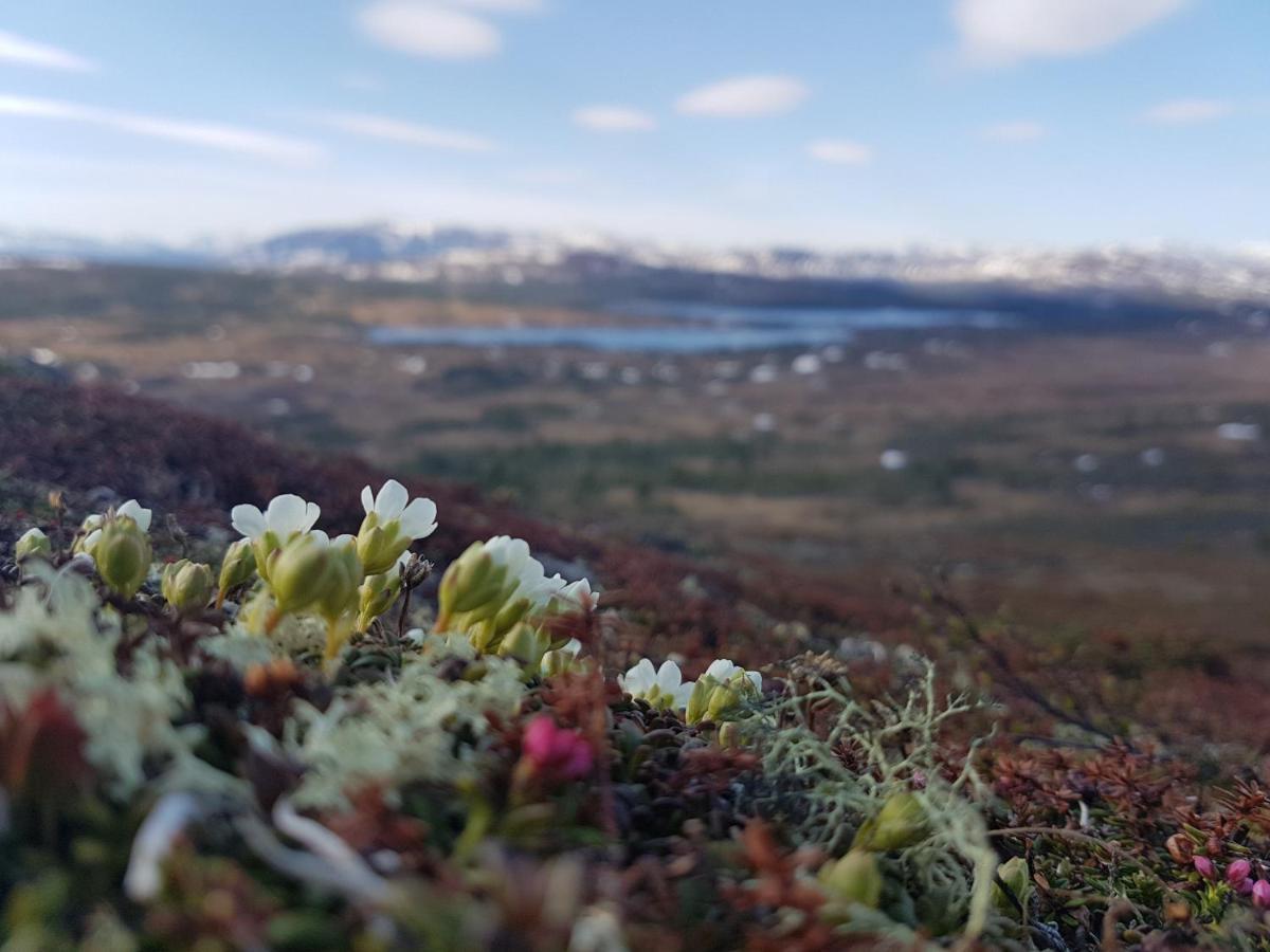 Хостел Renfjaellsgarden Edsasdalen Экстерьер фото